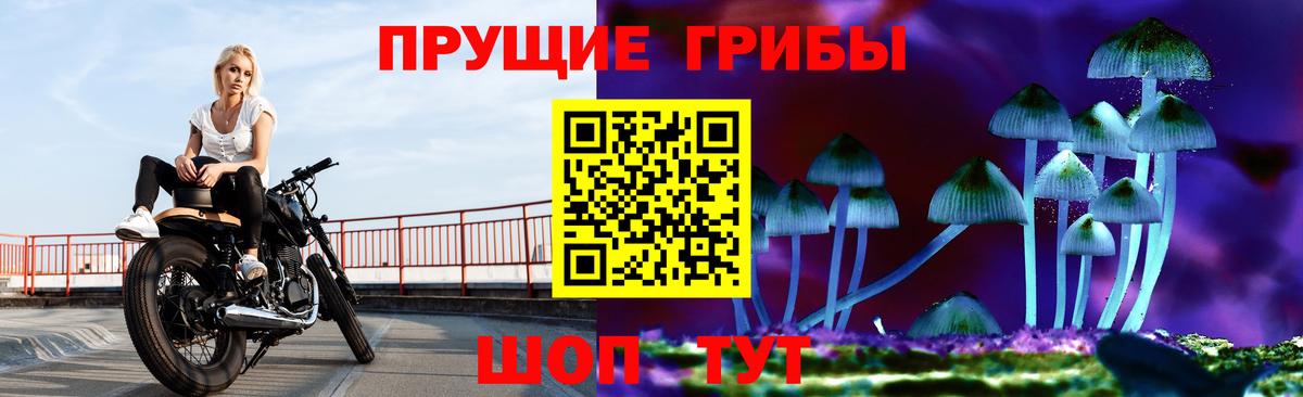 Псилоцибиновые грибы Magic Shrooms Тула