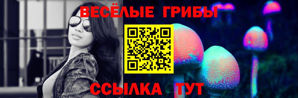 Галлюциногенные грибы Psilocybine cubensis  Вход с VPN  Тула 